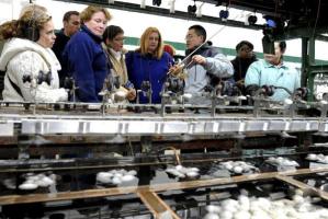 Suzhou No.1 Silk Factory Silk Making Proccess